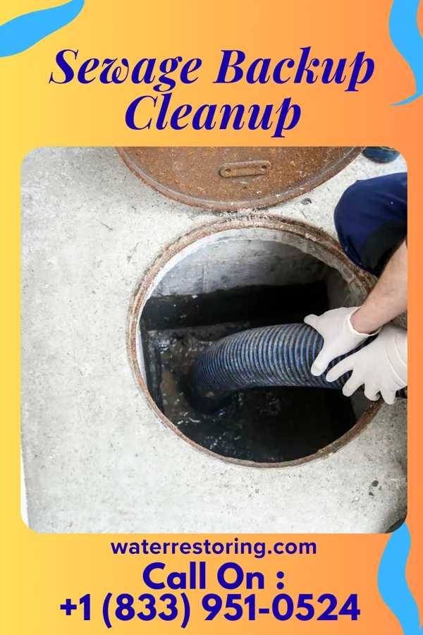 Sewage Backup Cleanup in Bovey, MN
